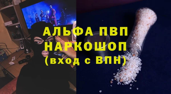 прущие грибы Вязьма