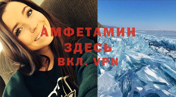 прущие грибы Вязьма