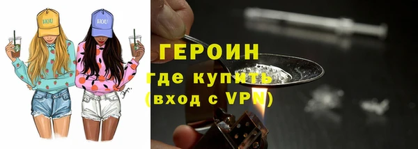 прущие грибы Вязьма