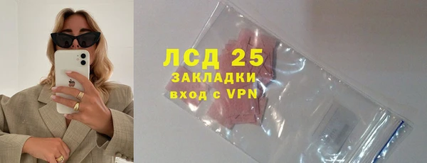 прущие грибы Вязьма