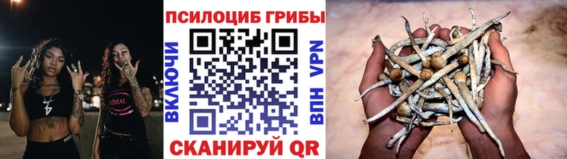 Галлюциногенные грибы мухоморы  Купить где  Кунгур 